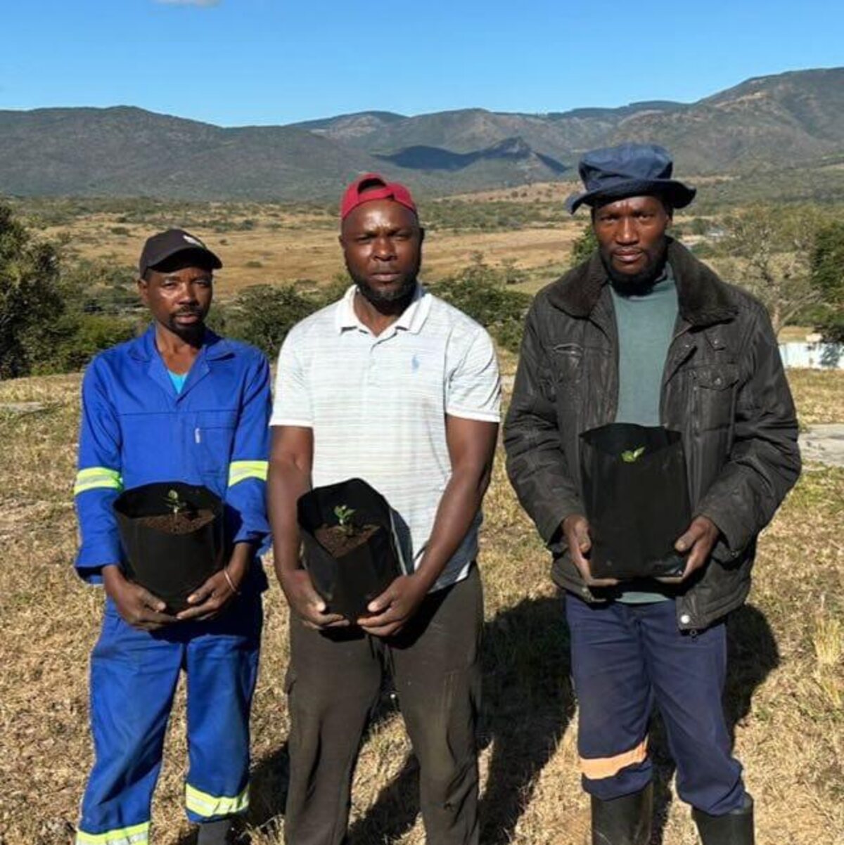 Members of the Grand Valley Farm team holding young coffee plants