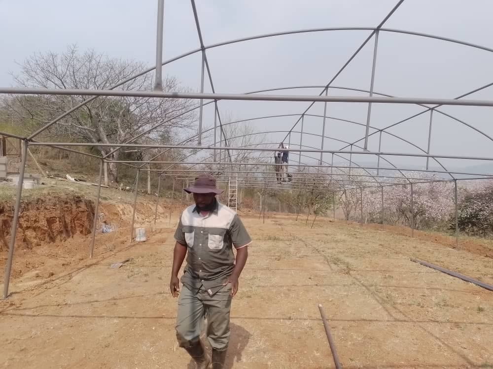 The greenhouse takes shape at Grand Valley Farm 588