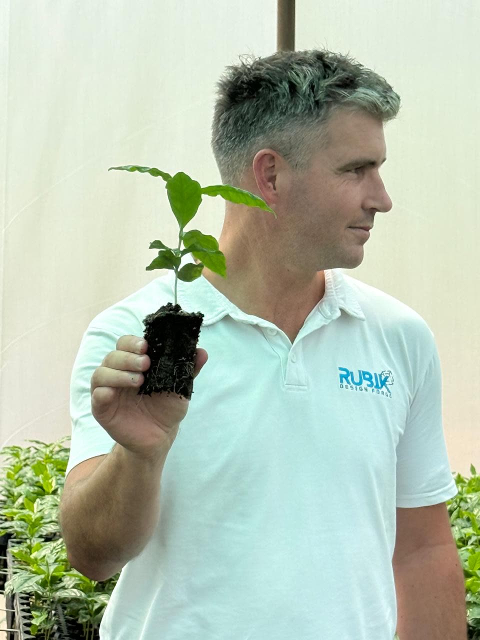From seedbed to individual growing cell at Grand Valley Farm 588