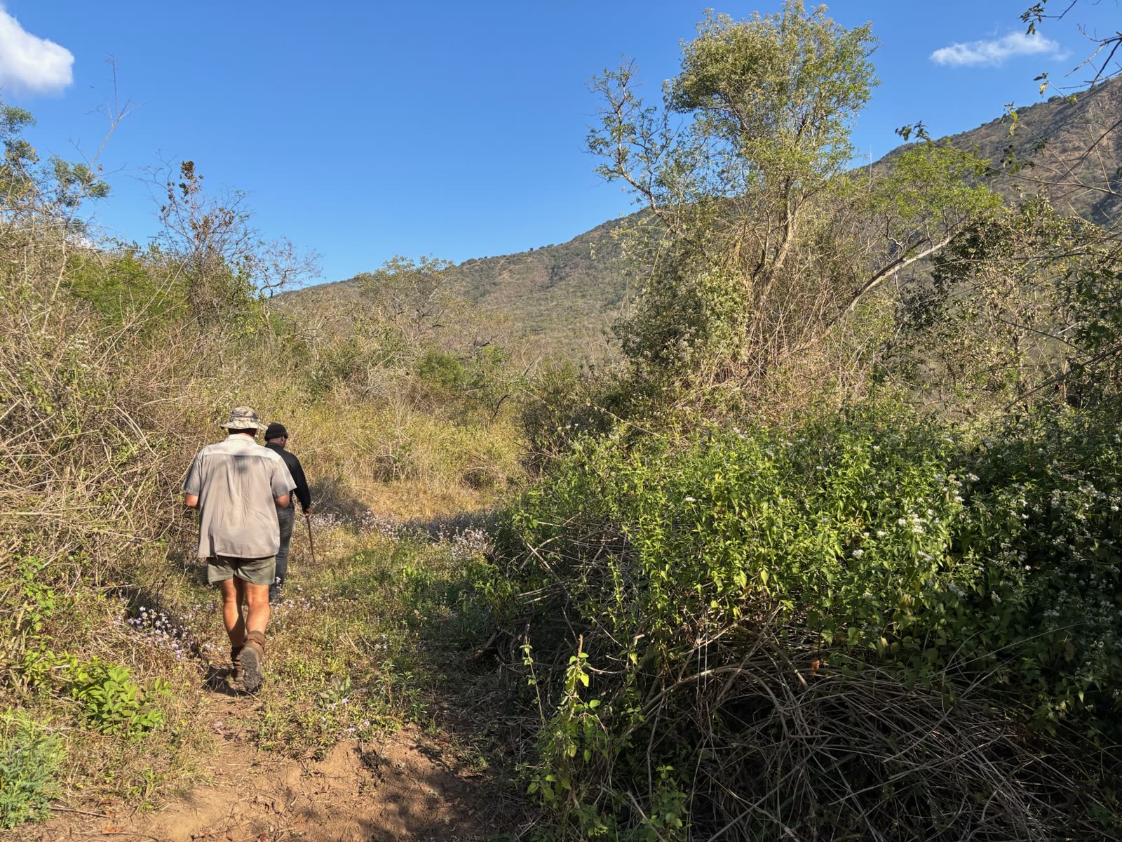 Grand Valley Farm team walking through land prepared for coffee development
